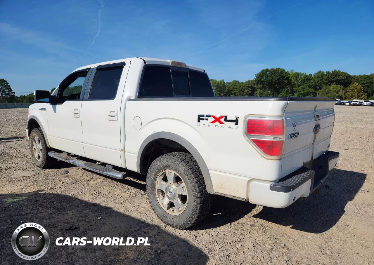 2010 Ford F150 Supercrew VIN:1FTFW1EV3AFA07400 - 2