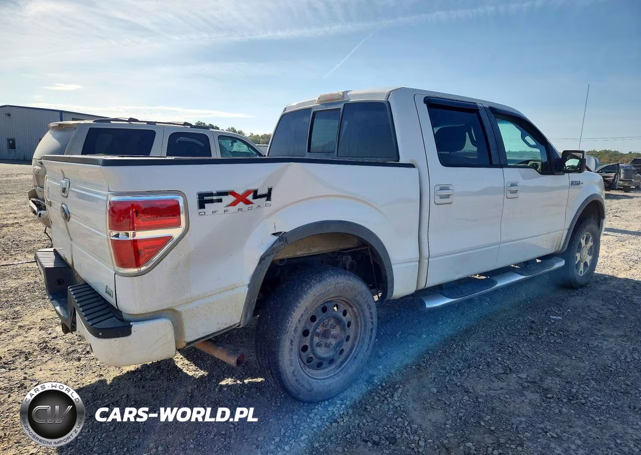 2010 Ford F150 Supercrew VIN:1FTFW1EV3AFA07400 - 3