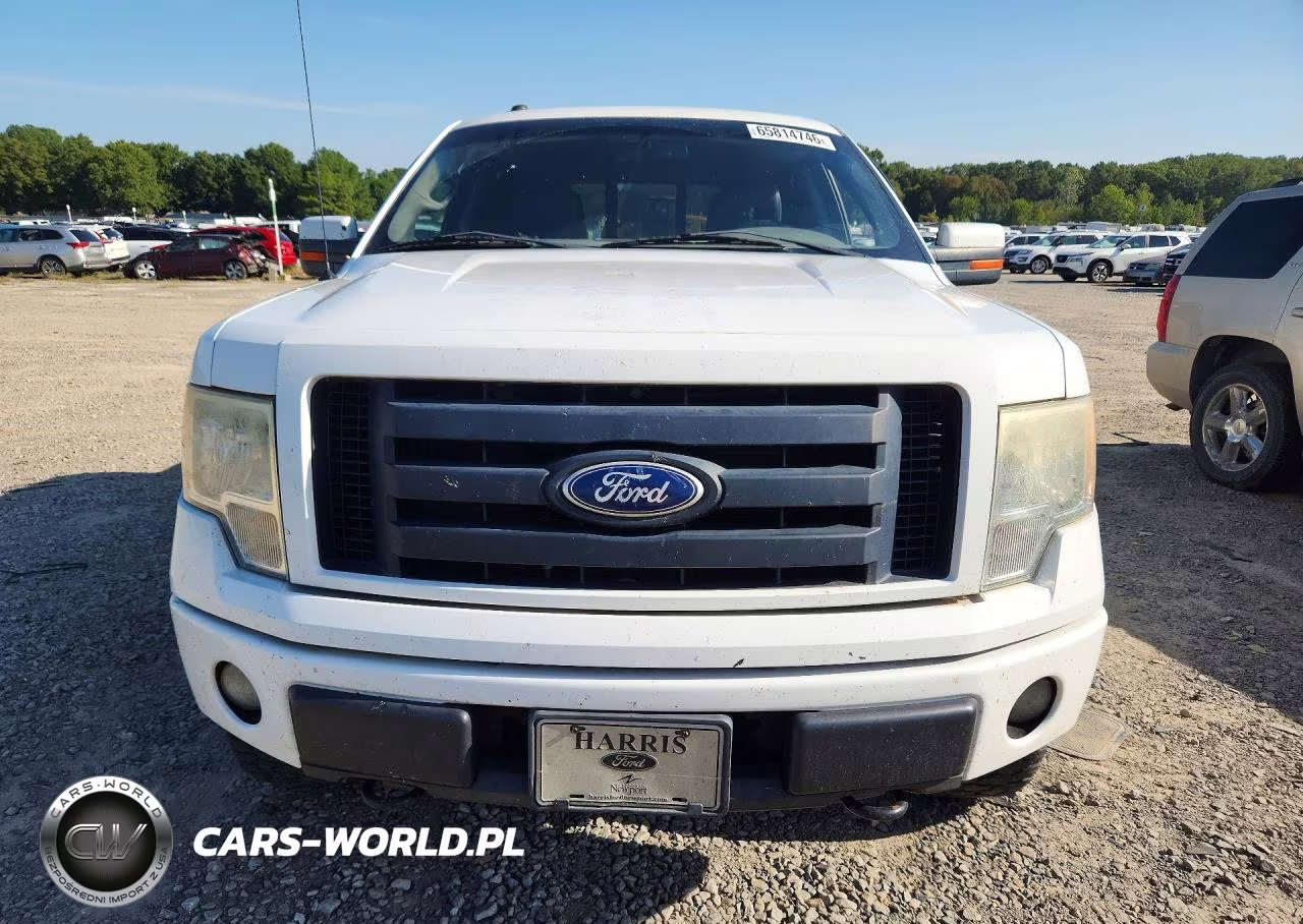 2010 Ford F150 Supercrew VIN:1FTFW1EV3AFA07400 - 5