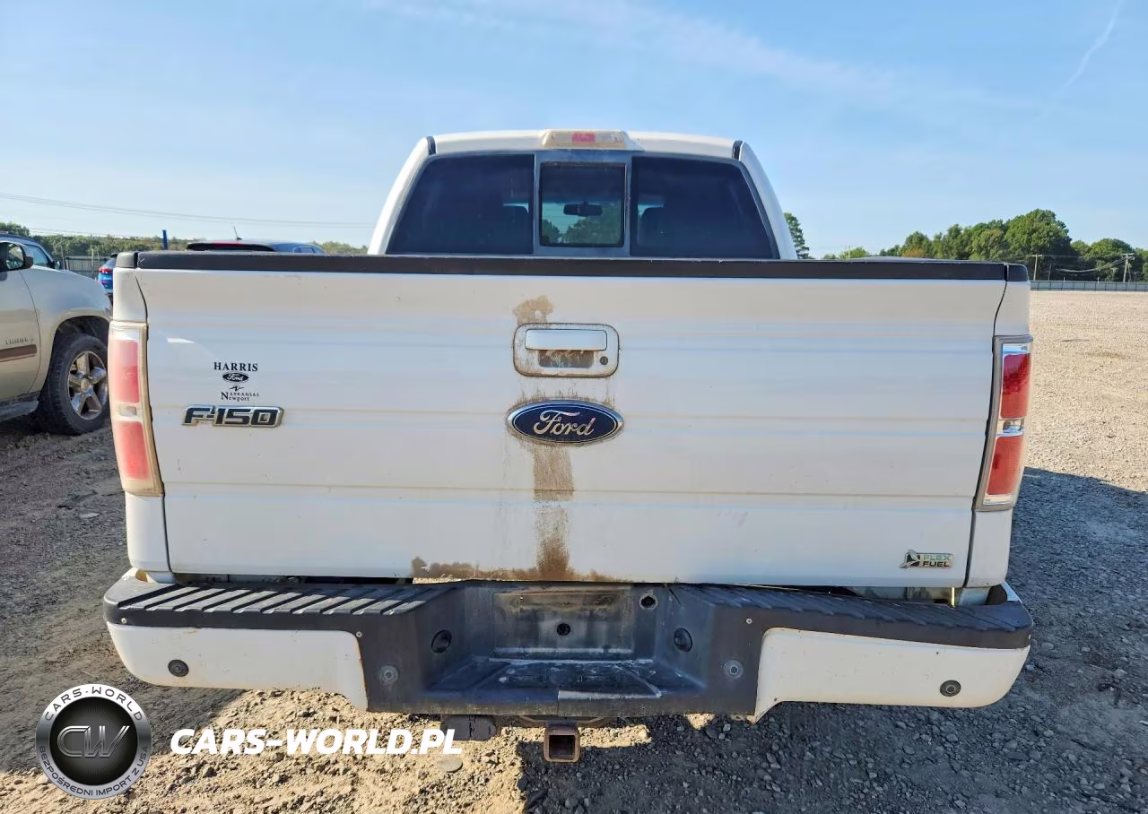 2010 Ford F150 Supercrew VIN:1FTFW1EV3AFA07400 - 6