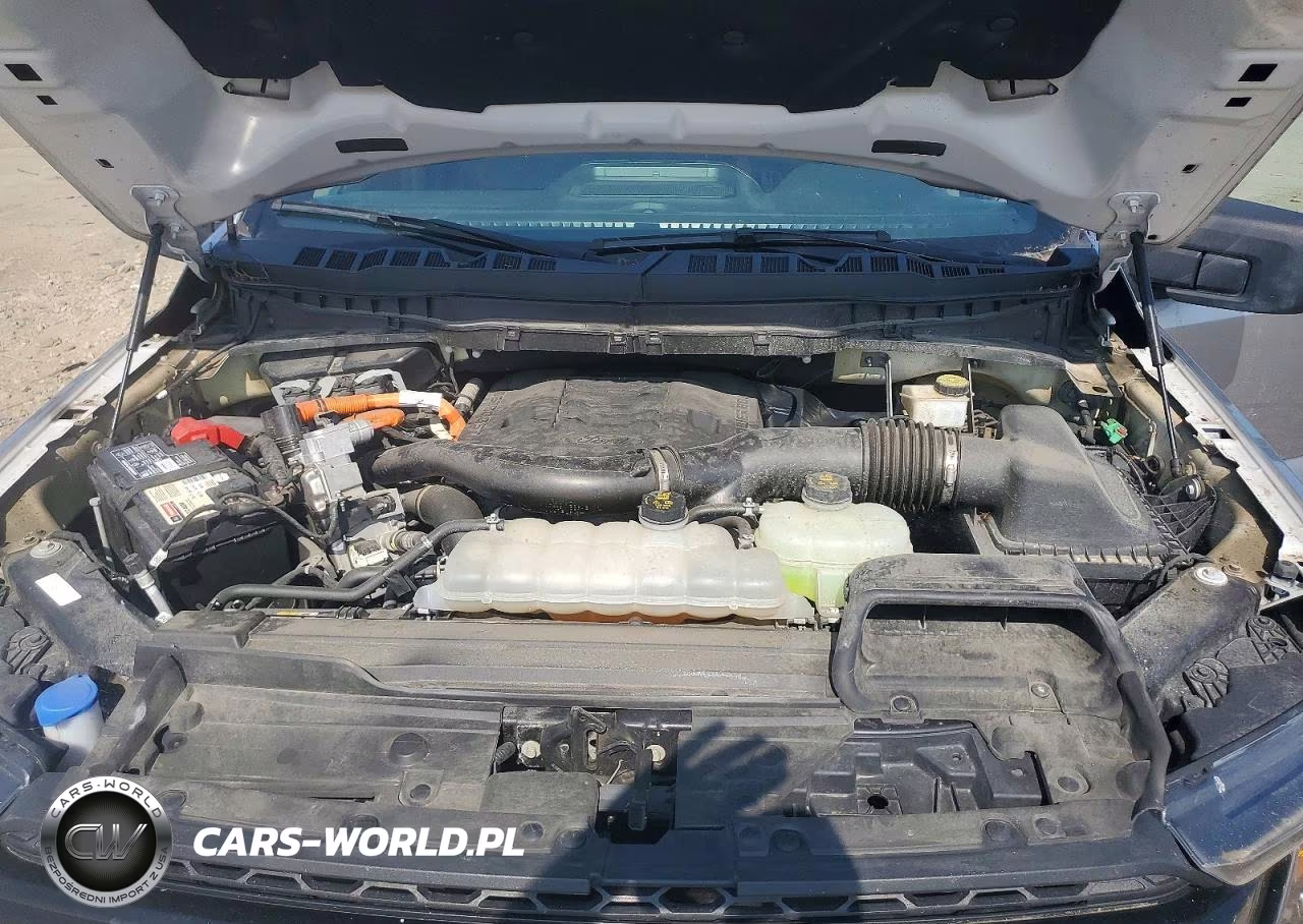 2023 Ford F150 Supercrew VIN:1FTFW1ED6PFB20905 - 11
