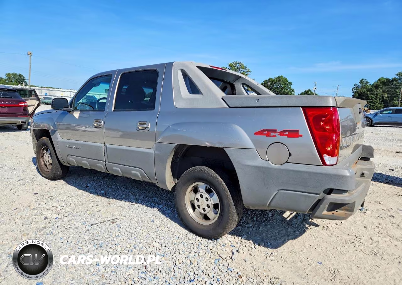2002 Chevrolet Avalanche K1500 VIN:3GNEK13T02G137893 - 2