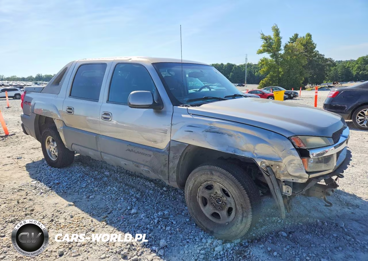 2002 Chevrolet Avalanche K1500 VIN:3GNEK13T02G137893 - 4