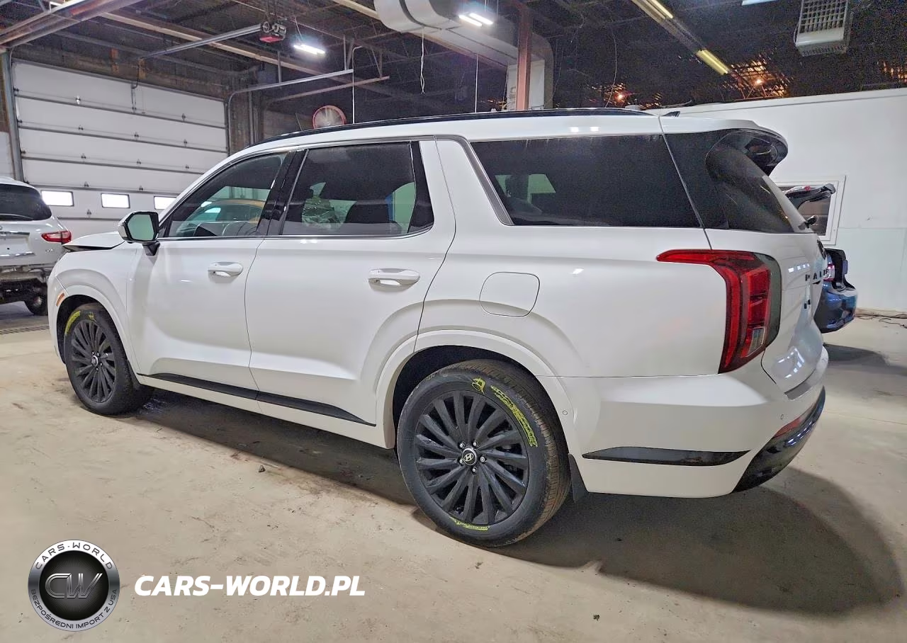 2024 Hyundai Palisade Calligraphy Night Edition VIN:KM8R7DGE9RU683183 - 2