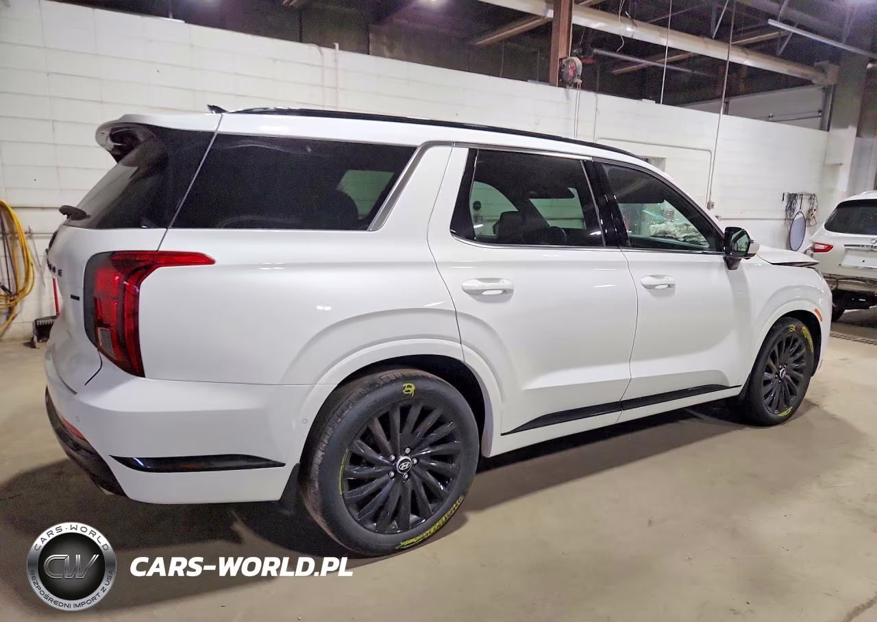 2024 Hyundai Palisade Calligraphy Night Edition VIN:KM8R7DGE9RU683183 - 3