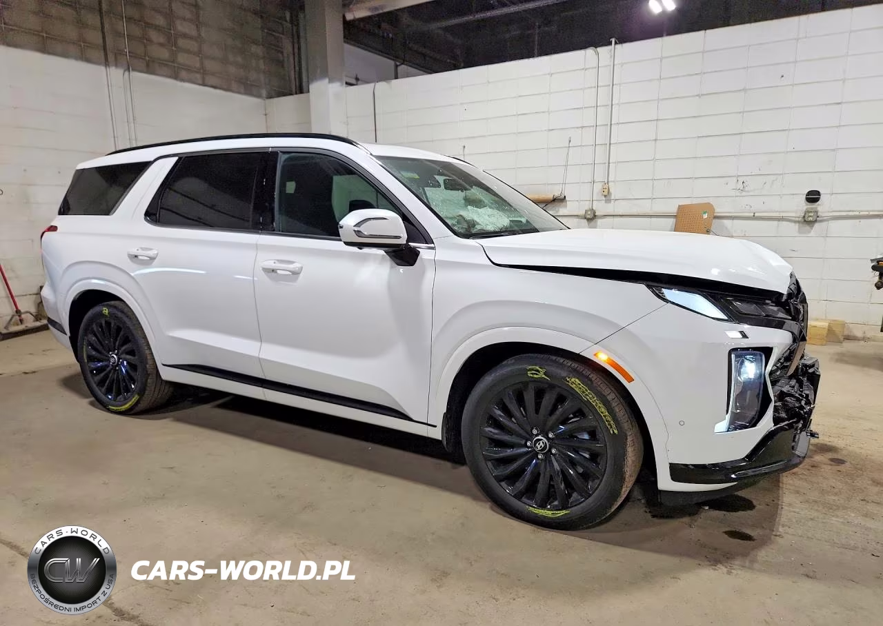 2024 Hyundai Palisade Calligraphy Night Edition VIN:KM8R7DGE9RU683183 - 4
