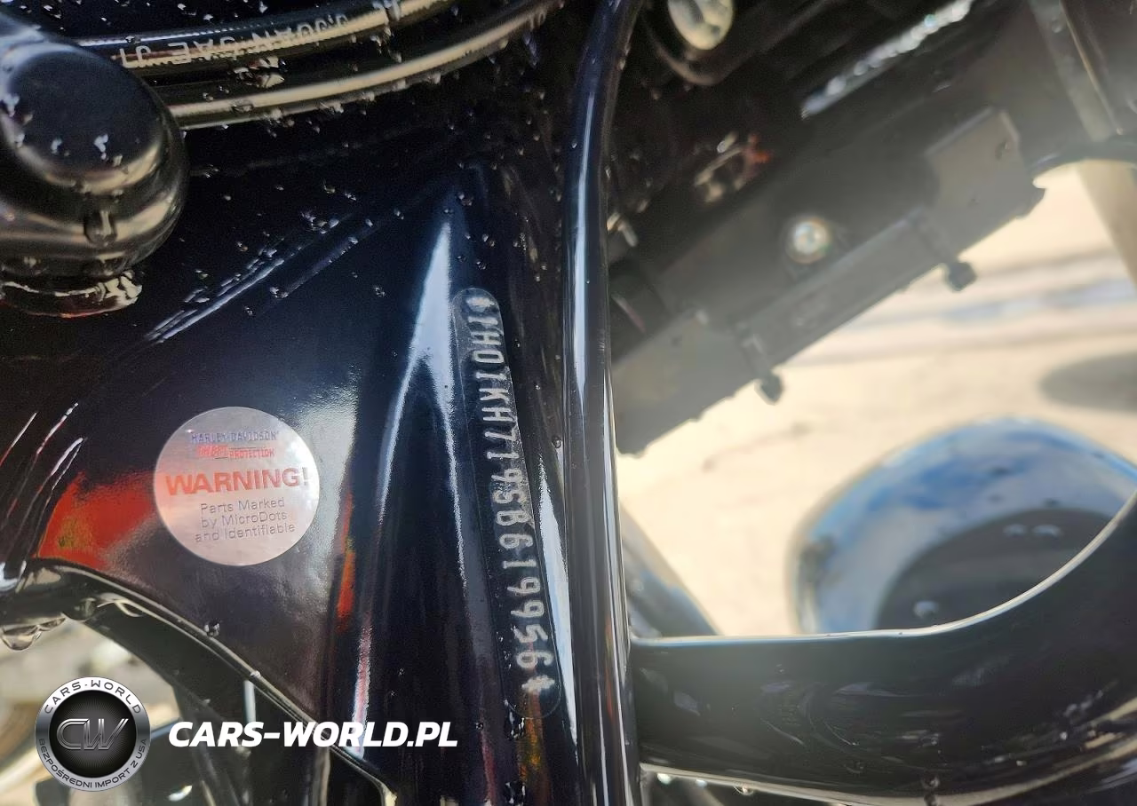 2025 Harley-Davidson Fltrx VIN:1HD1KH719SB619956 - 9