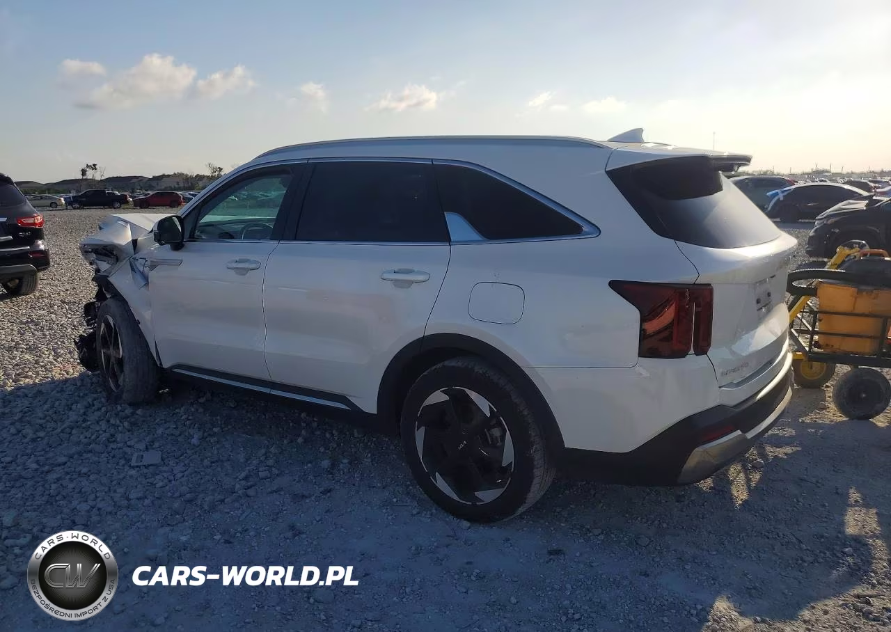 2025 Kia Sorento Sxp VIN:KNDRKDJGXS5306102 - 2