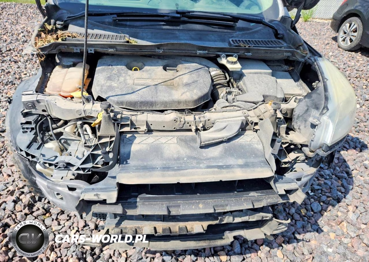 2013 Ford Escape Sel VIN:1FMCU0H90DUD00877 - 11