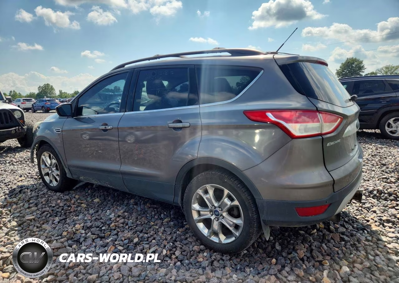 2013 Ford Escape Sel VIN:1FMCU0H90DUD00877 - 2