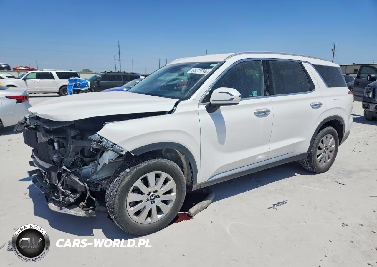 2024 Hyundai Palisade Sel VIN:KM8R24GE2RU741097 - 1