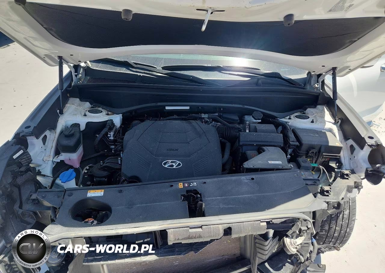2024 Hyundai Palisade Sel VIN:KM8R24GE2RU741097 - 12
