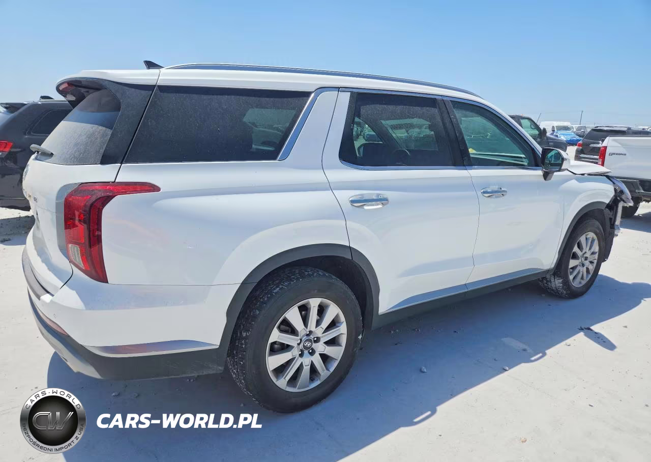 2024 Hyundai Palisade Sel VIN:KM8R24GE2RU741097 - 3