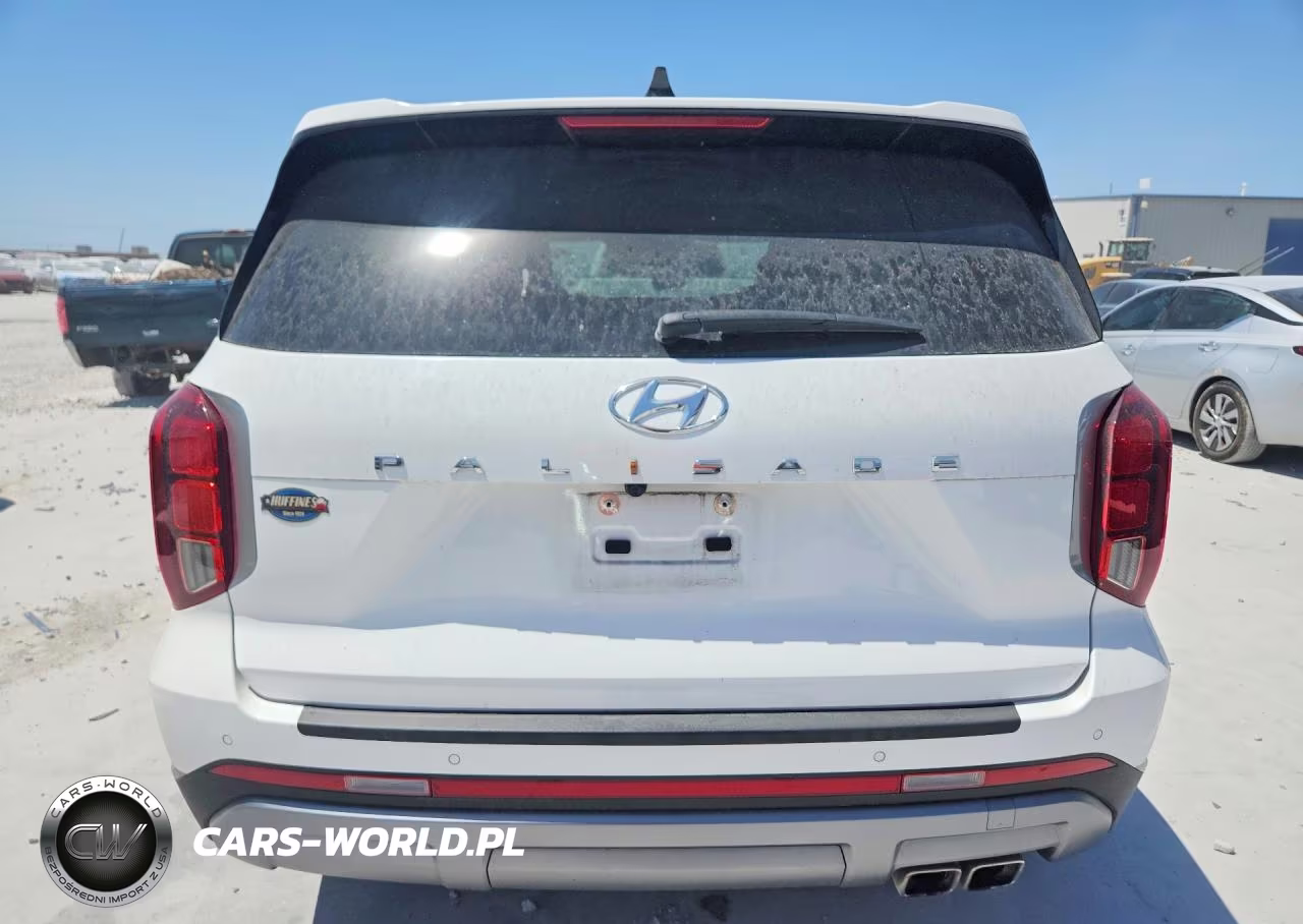 2024 Hyundai Palisade Sel VIN:KM8R24GE2RU741097 - 6