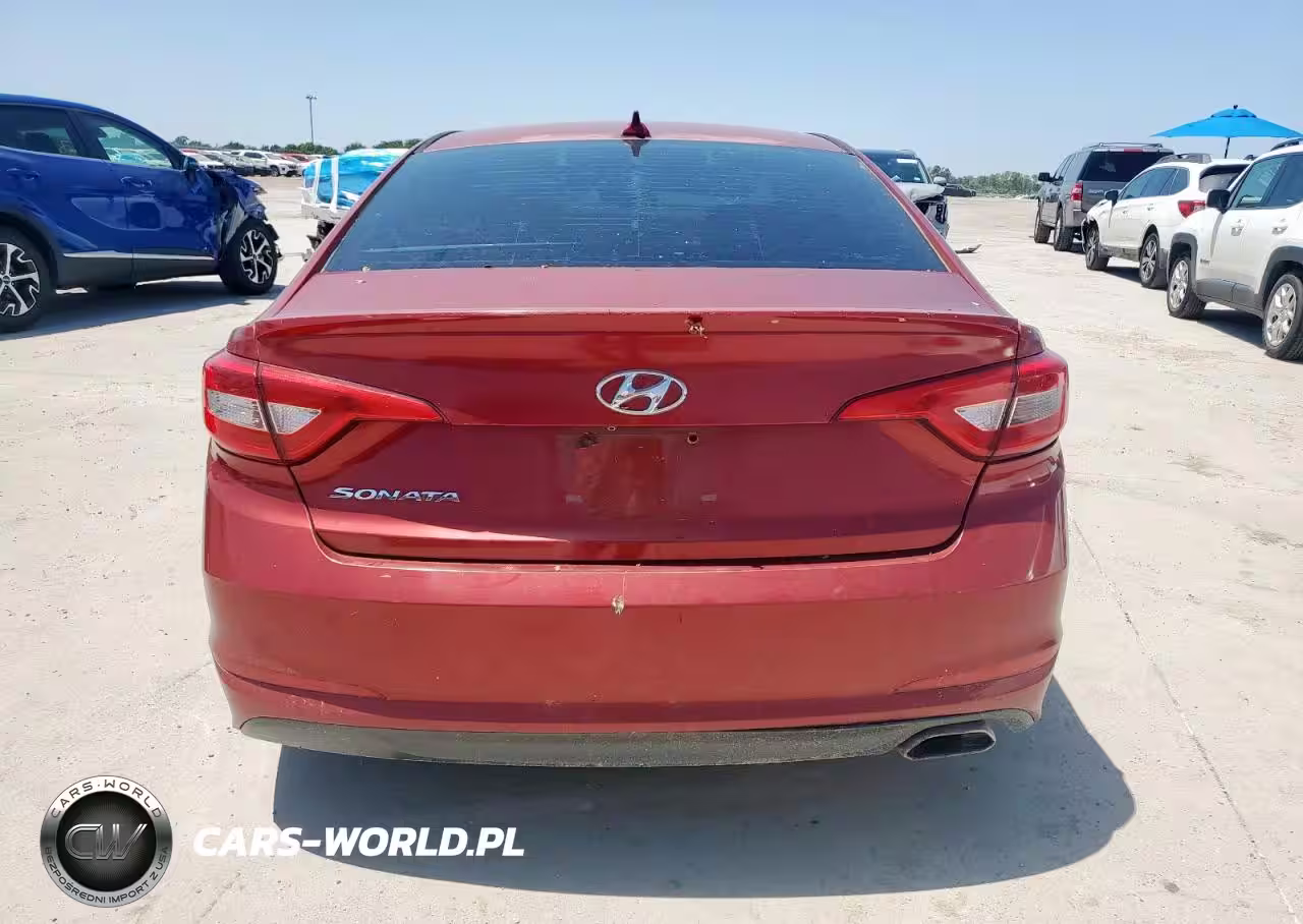 2016 Hyundai Sonata Se VIN:5NPE24AF1GH318684 - 6