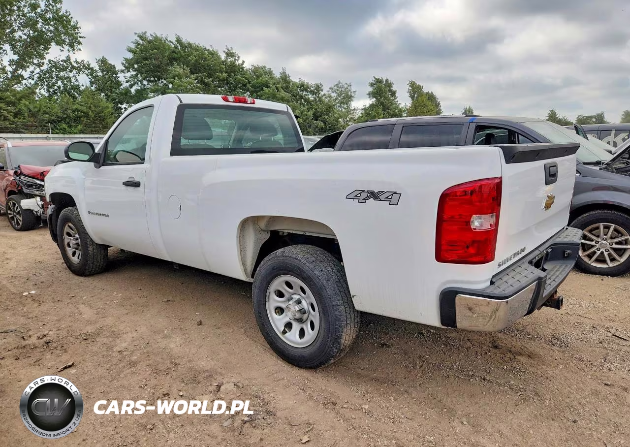2009 Chevrolet Silverado K1500 VIN:1GCEK14C99Z144987 - 2