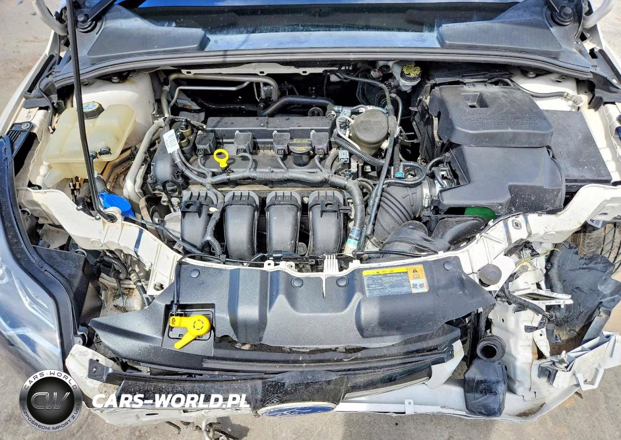 2012 Ford Focus Sel VIN:1FAHP3M24CL231651 - 11