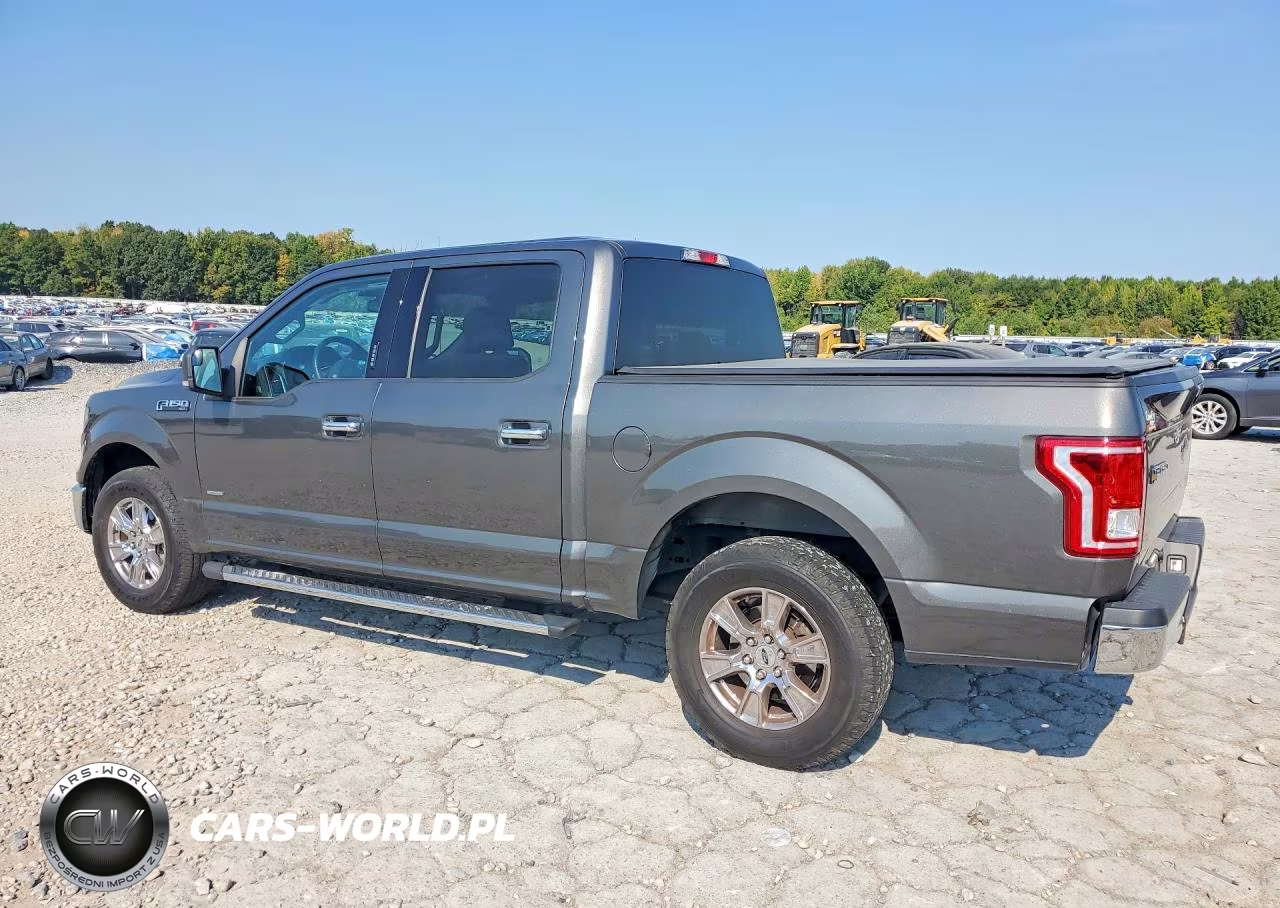 2016 Ford F150 Supercrew VIN:1FTEW1CP2GKF90316 - 2