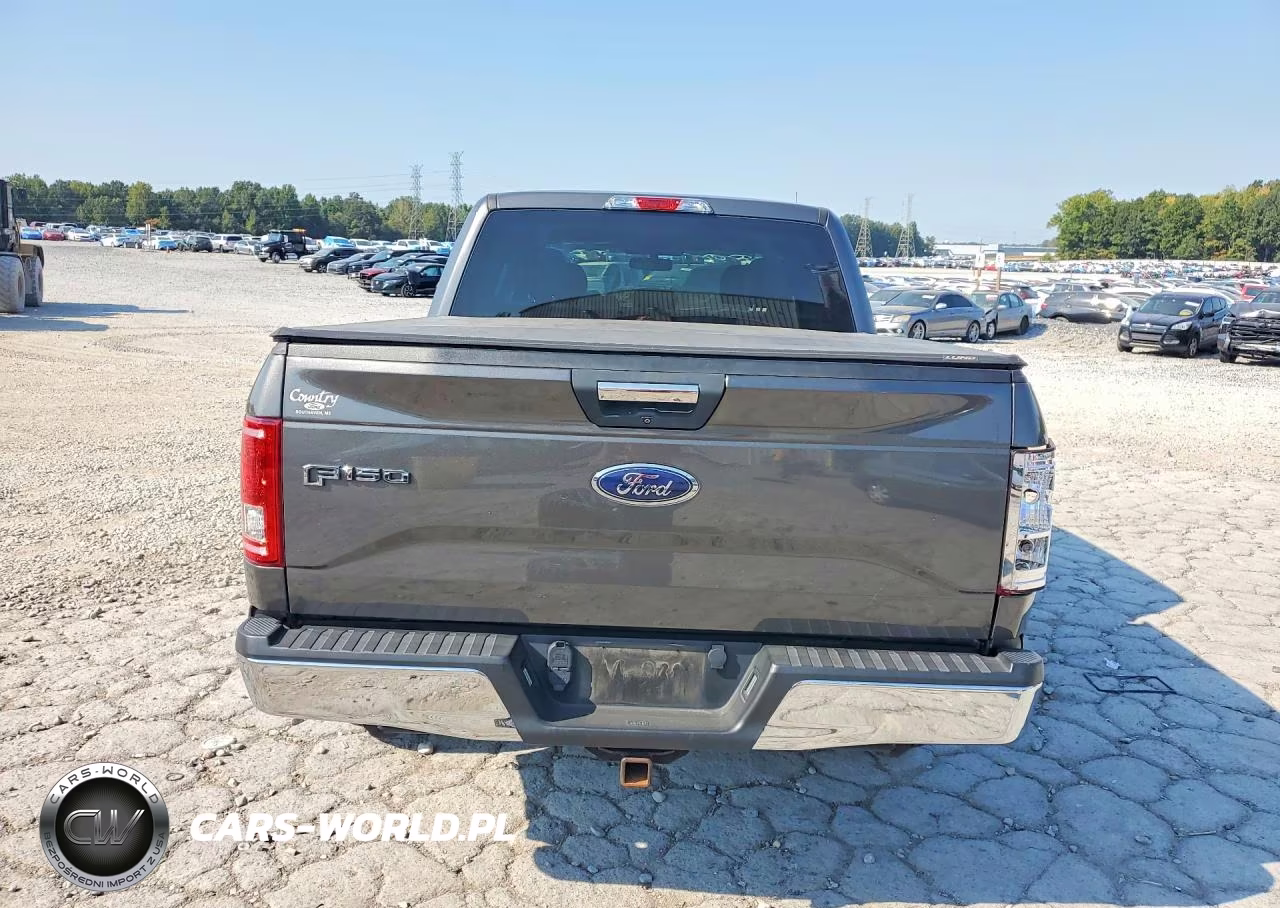 2016 Ford F150 Supercrew VIN:1FTEW1CP2GKF90316 - 6