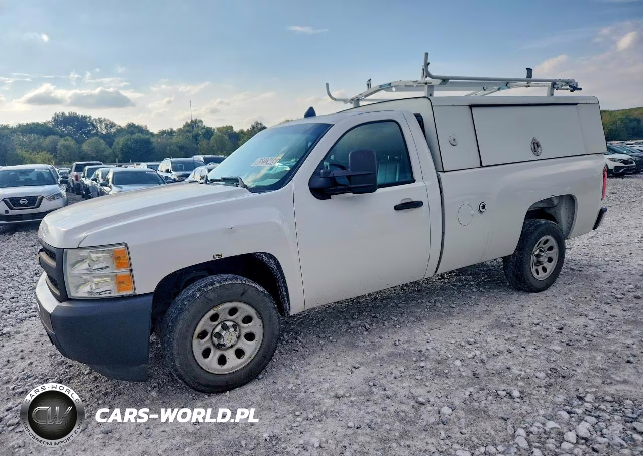 2013 Chevrolet Silverado C1500 VIN:1GCNCPEX4DZ900350 - 1