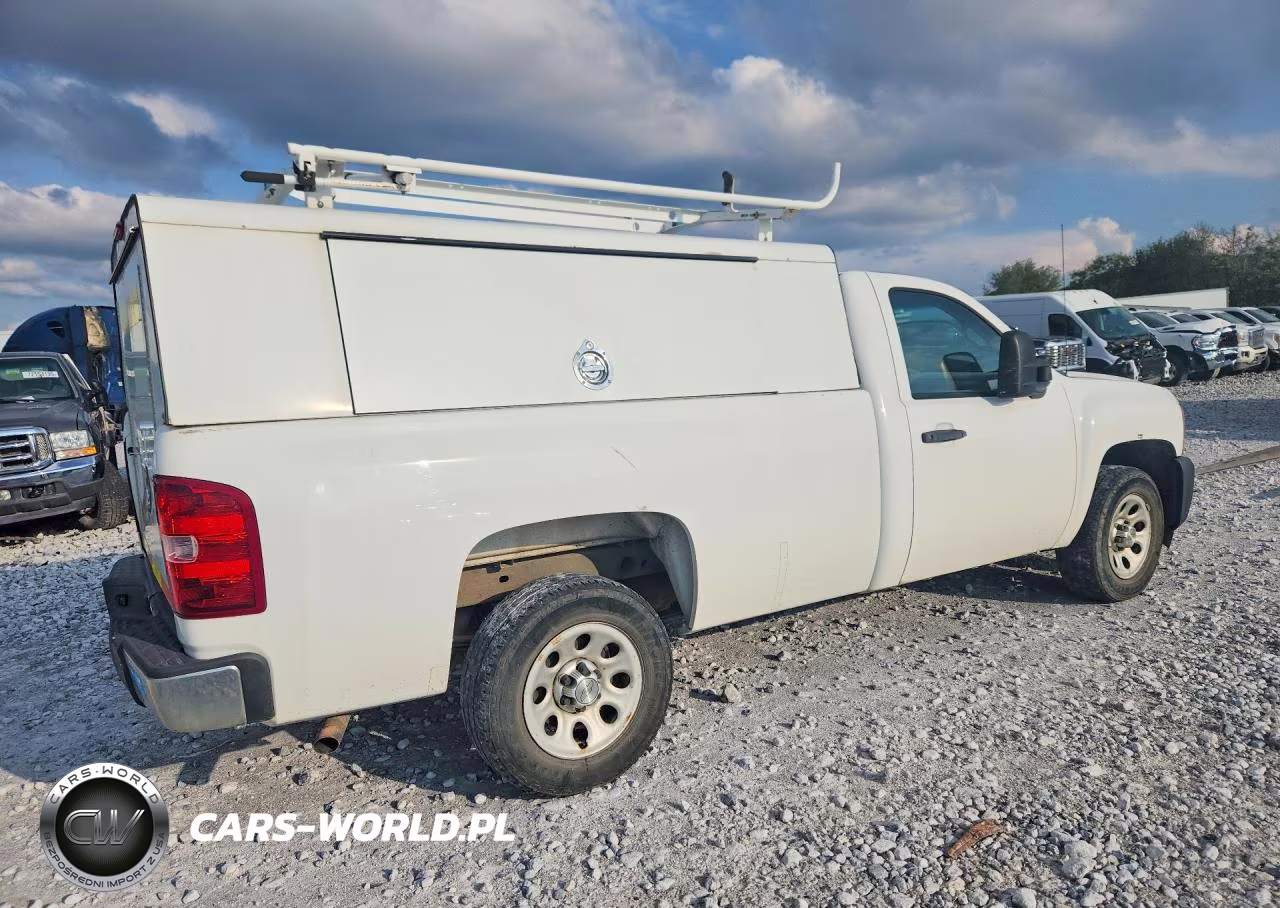 2013 Chevrolet Silverado C1500 VIN:1GCNCPEX4DZ900350 - 3