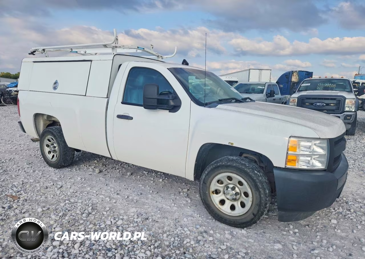 2013 Chevrolet Silverado C1500 VIN:1GCNCPEX4DZ900350 - 4