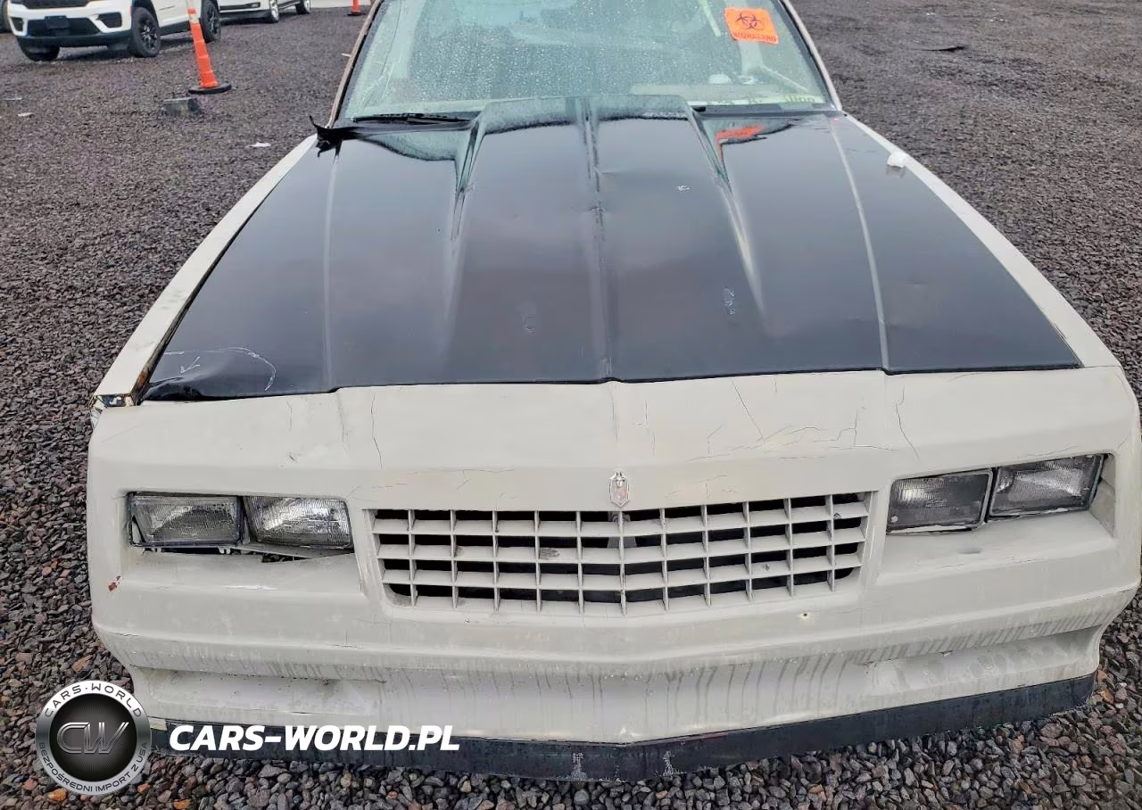 1987 Chevrolet Monte Carlo VIN:1G1GZ11G5HP113301 - 11