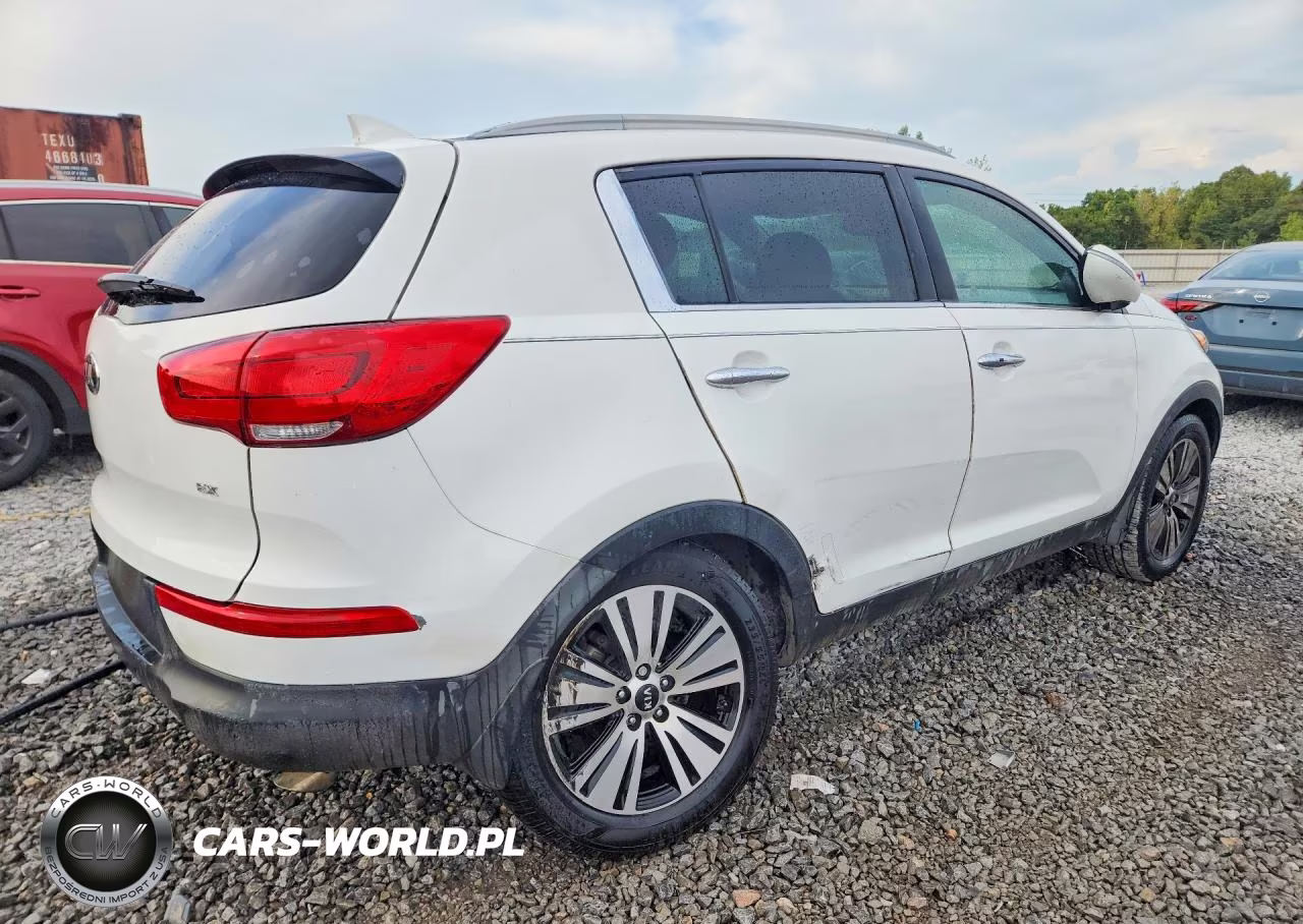2015 Kia Sportage Ex VIN:KNDPC3AC7F7785584 - 3