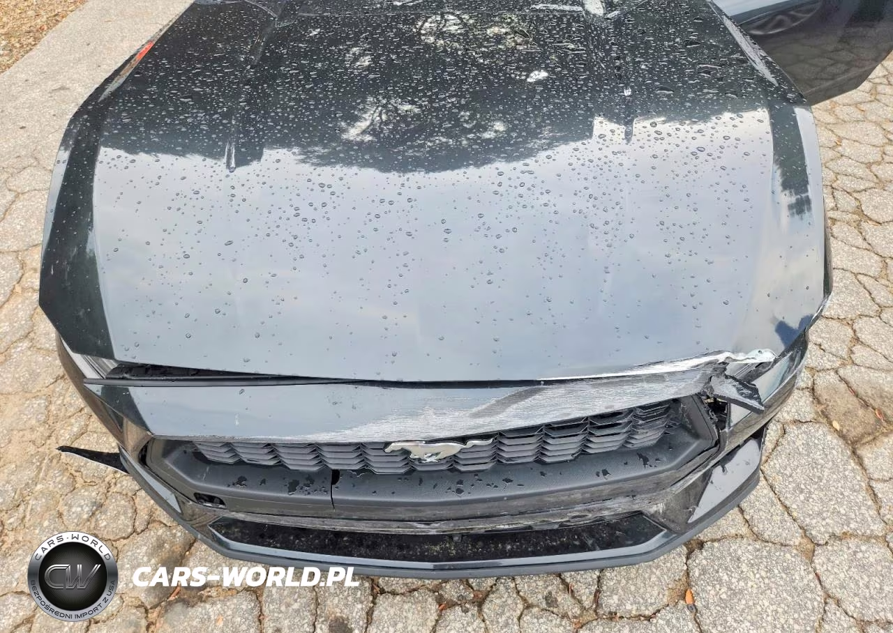 2024 Ford Mustang VIN:1FA6P8TH6R5140534 - 11
