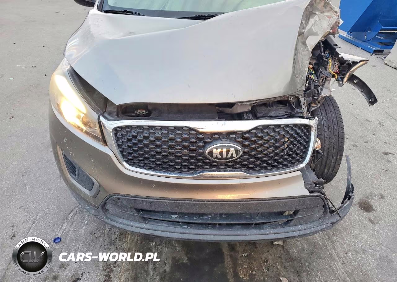 2016 Kia Sorento Lx VIN:5XYPG4A38GG182142 - 12
