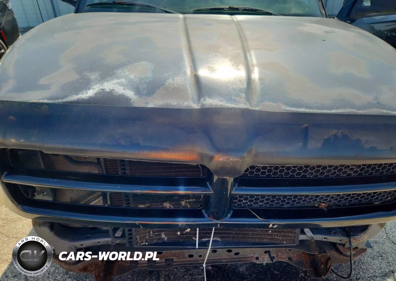 2001 Dodge Ram 1500 VIN:3B7HF13Z21G190673 - 11