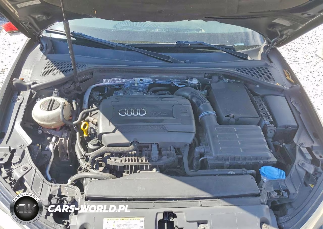 2016 Audi A3 Premium VIN:WAU78LFF2G1093139 - 11