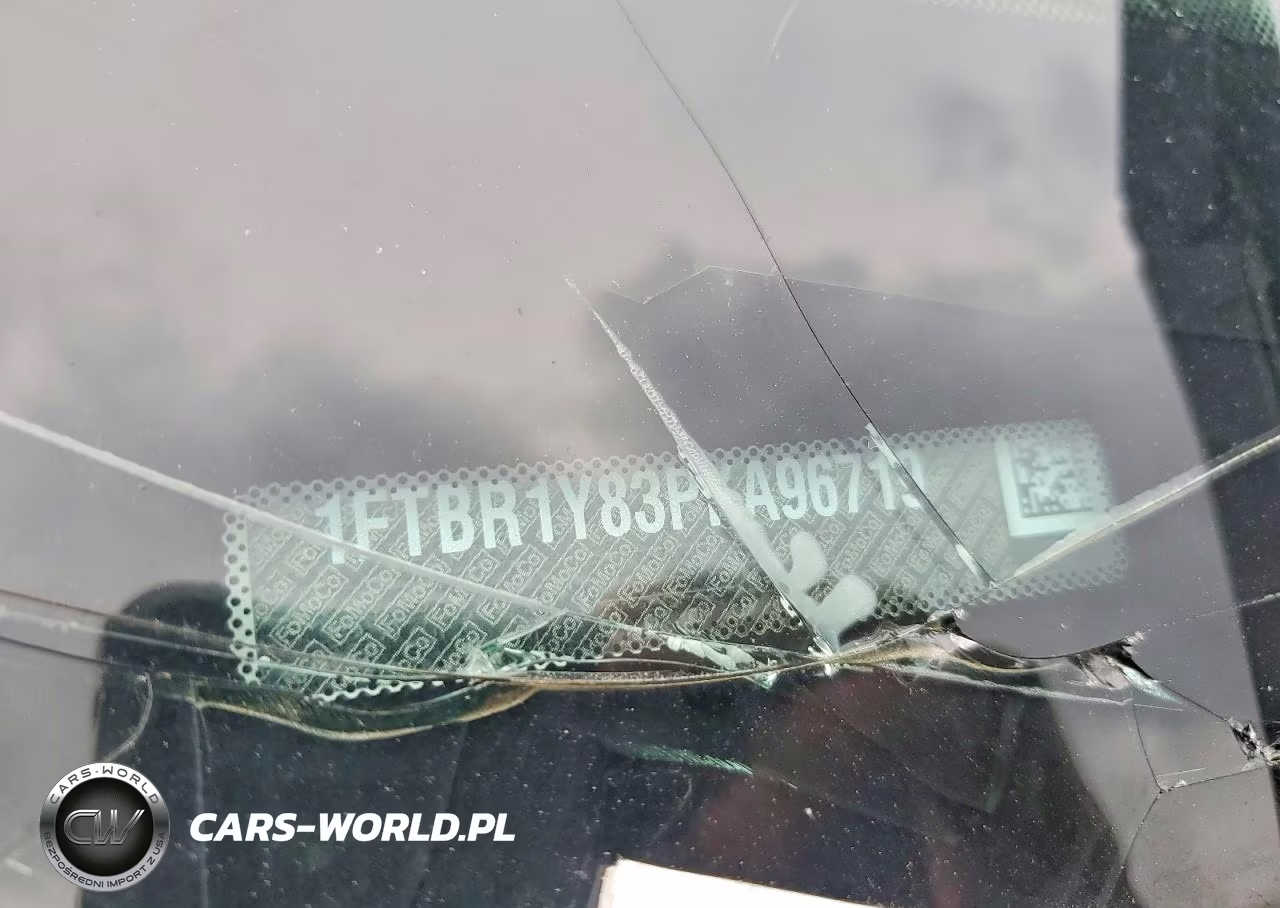 2023 Ford Transit VIN:1FTBR1Y83PKA96719 - 13