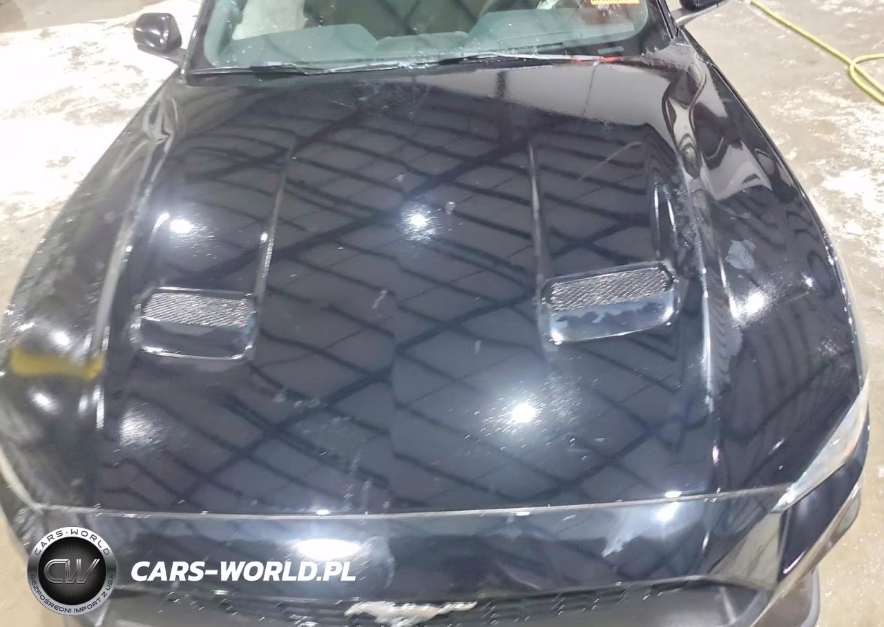 2019 Ford Mustang VIN:1FA6P8TH9K5174621 - 11