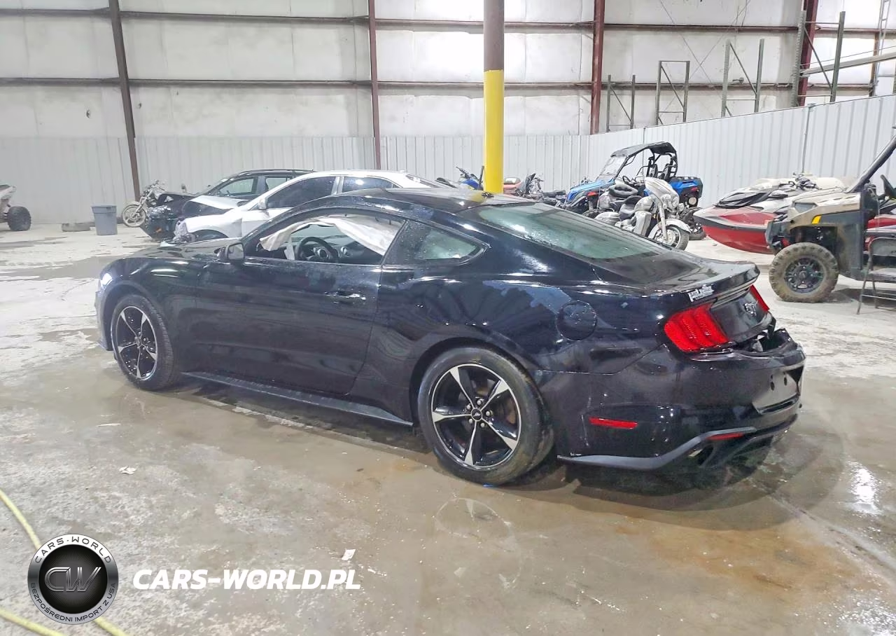 2019 Ford Mustang VIN:1FA6P8TH9K5174621 - 2