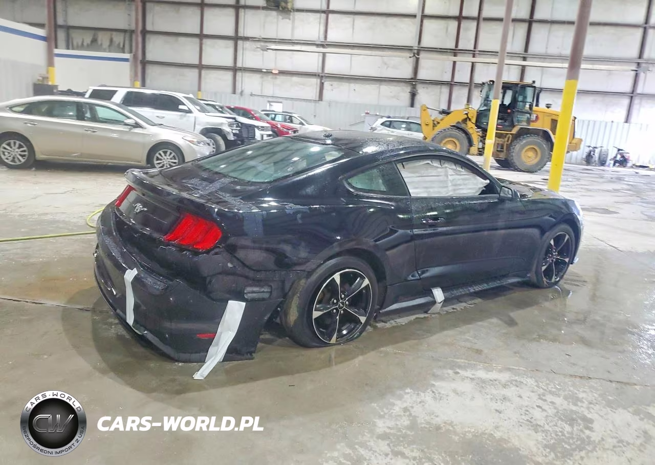 2019 Ford Mustang VIN:1FA6P8TH9K5174621 - 3