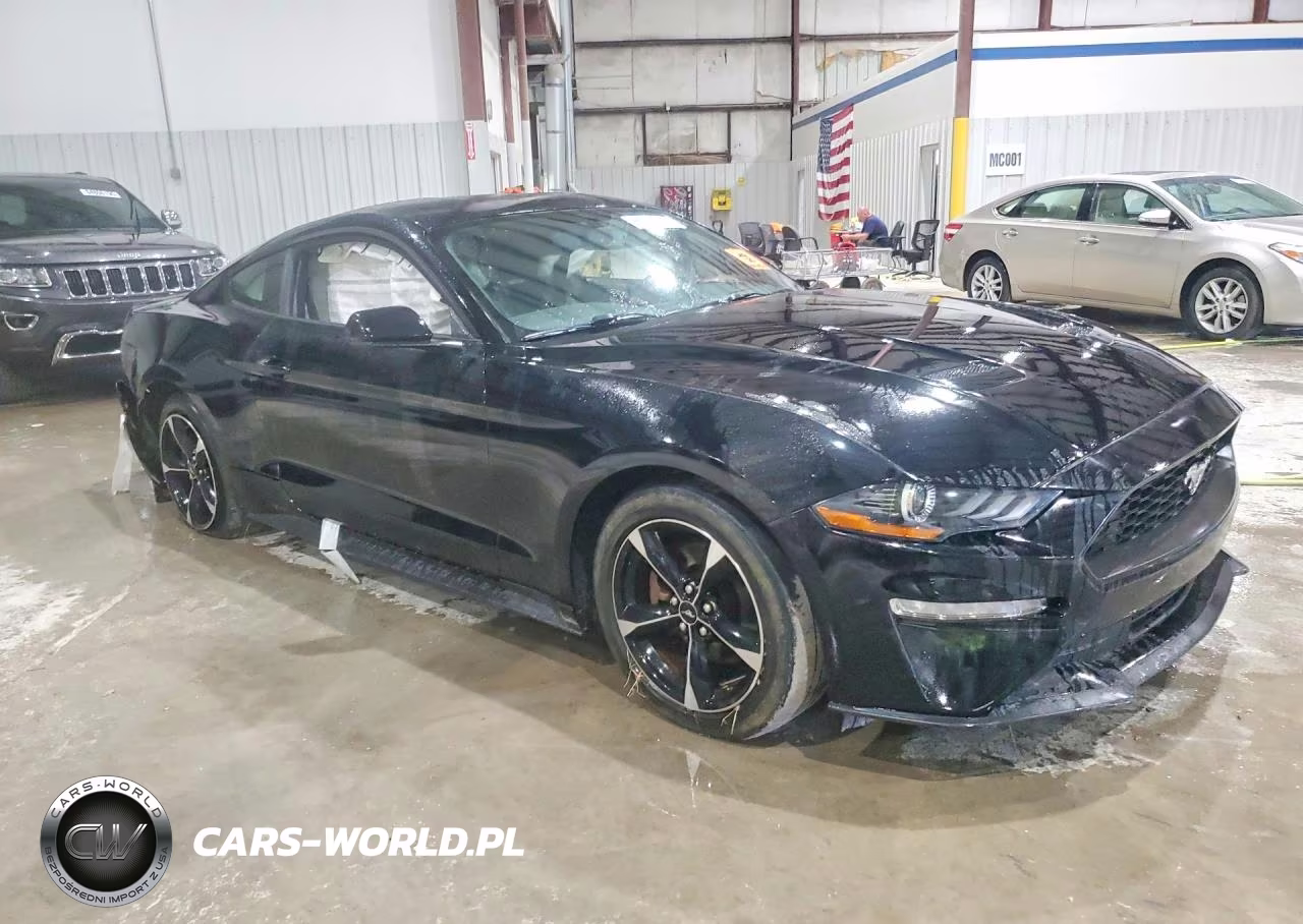 2019 Ford Mustang VIN:1FA6P8TH9K5174621 - 4