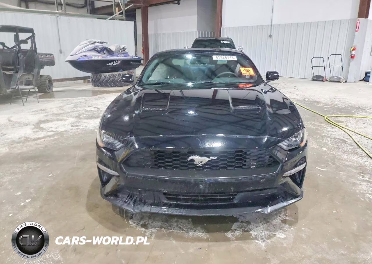 2019 Ford Mustang VIN:1FA6P8TH9K5174621 - 5