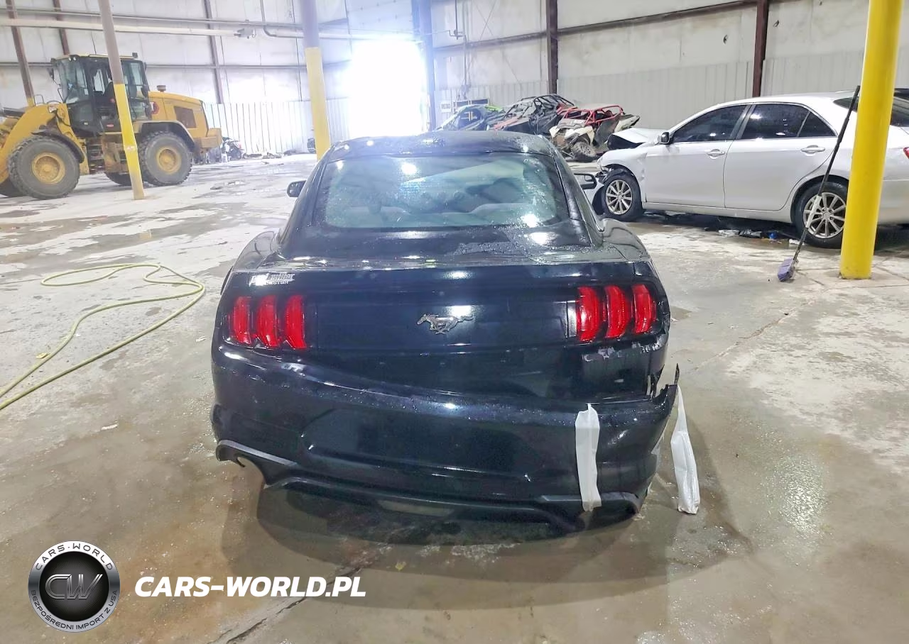 2019 Ford Mustang VIN:1FA6P8TH9K5174621 - 6
