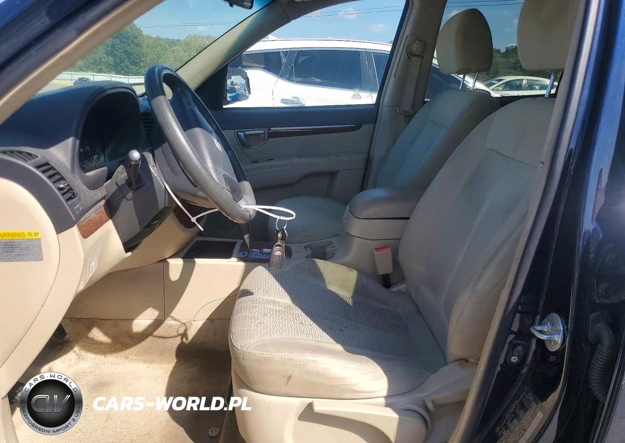 2009 Hyundai Santa Fe Gls VIN:5NMSG13D99H327728 - 7