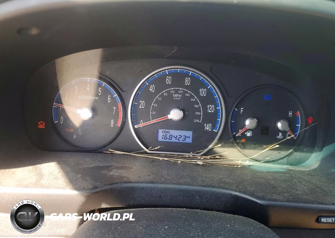 2009 Hyundai Santa Fe Gls VIN:5NMSG13D99H327728 - 9