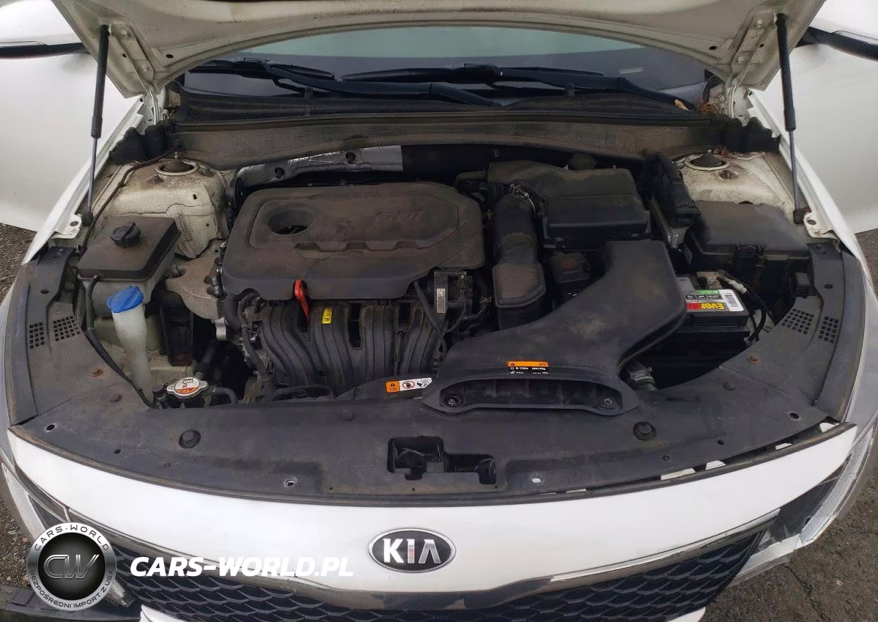 2016 Kia Optima Lx VIN:KNAGT4L36G5098786 - 11