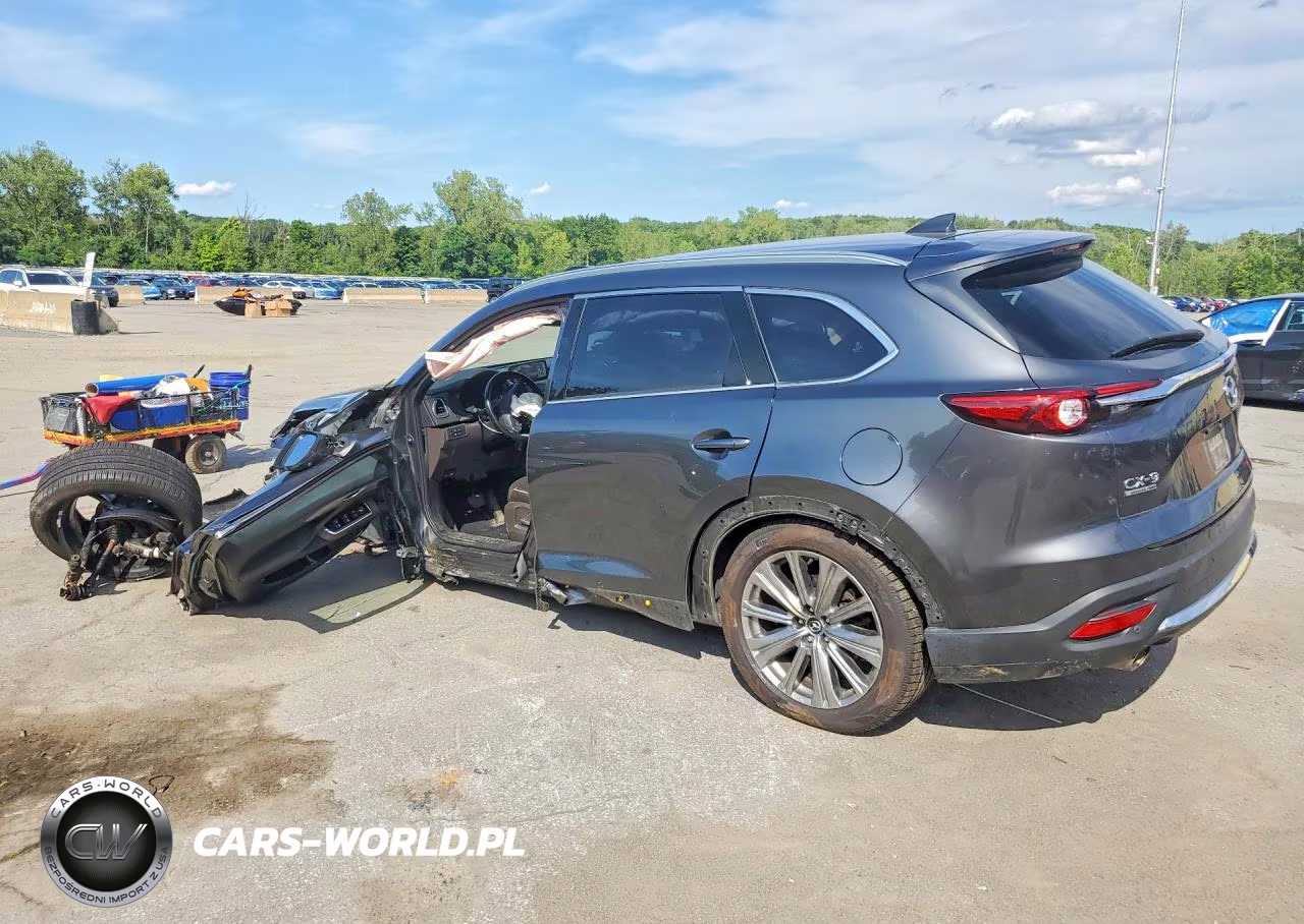 2022 Mazda Cx-9 Signature VIN:JM3TCBEY3N0610519 - 2