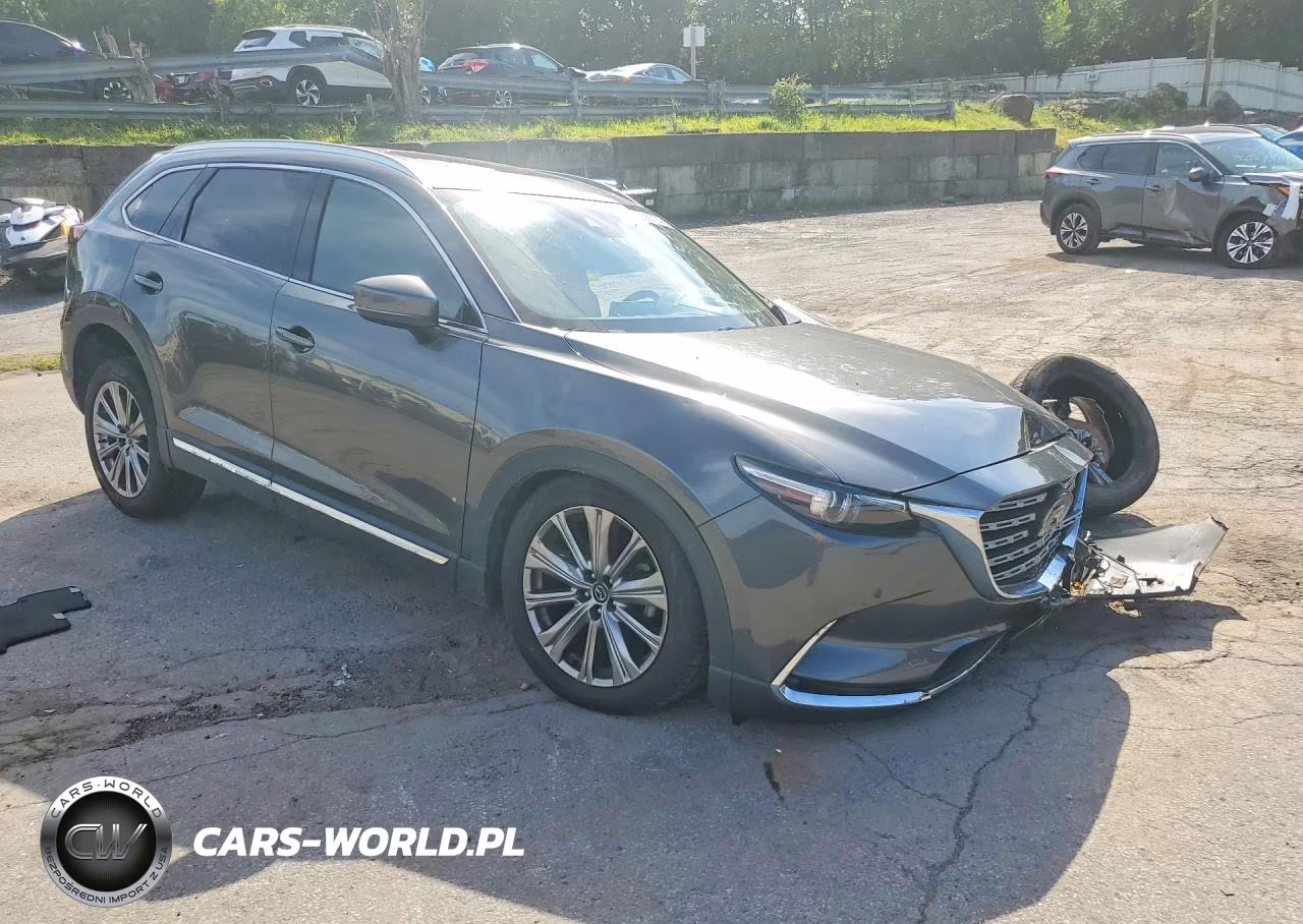 2022 Mazda Cx-9 Signature VIN:JM3TCBEY3N0610519 - 4