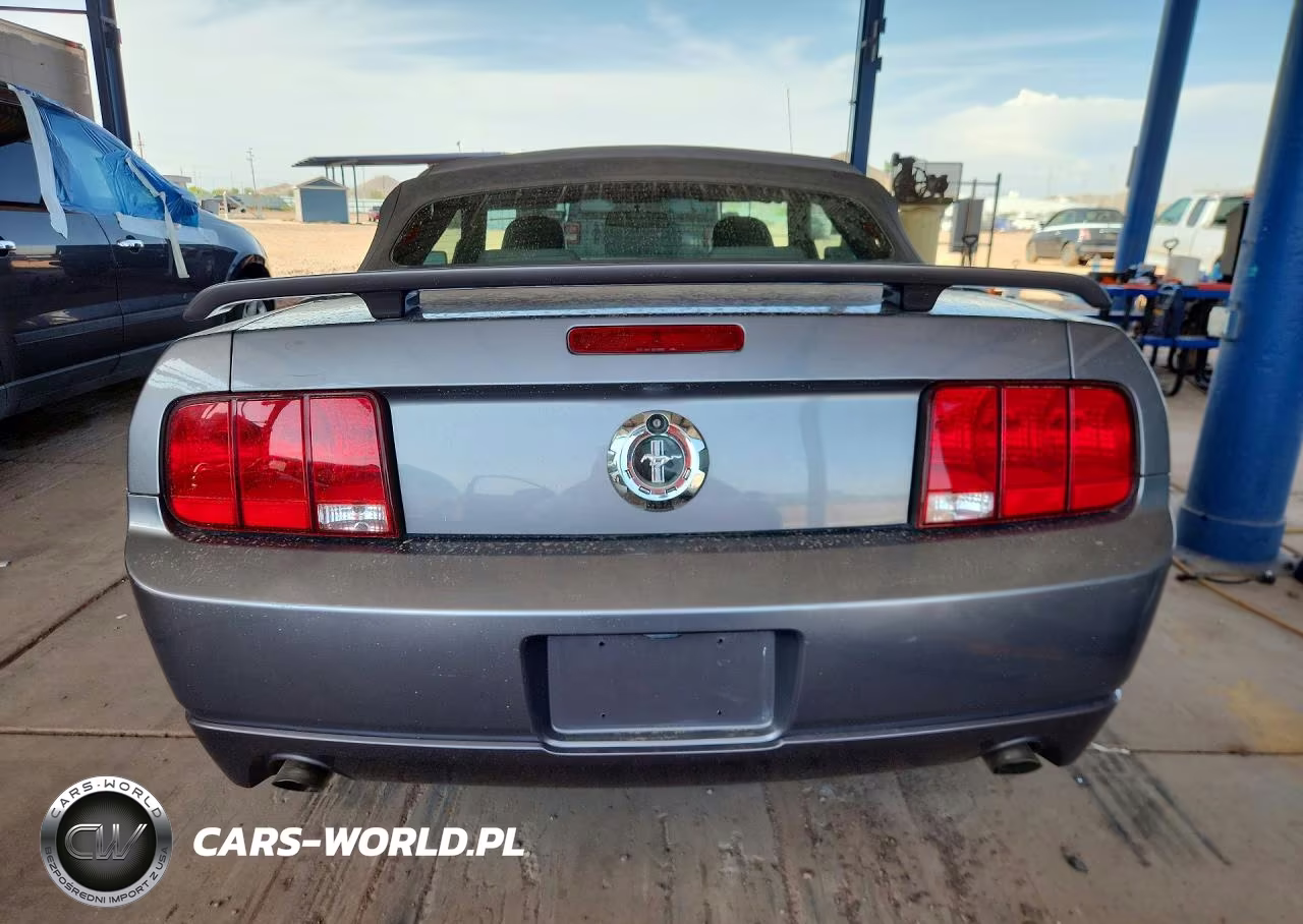 2006 Ford Mustang VIN:1ZVFT84N265105606 - 6