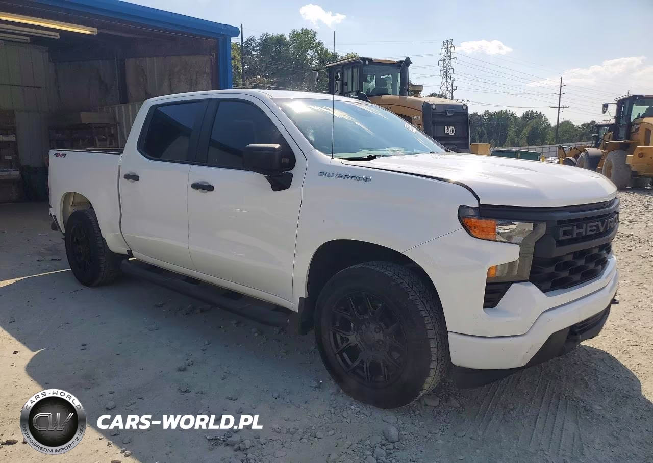 2022 Chevrolet Silverado K1500 Custom VIN:1GCPDBEK2NZ507056 - 4