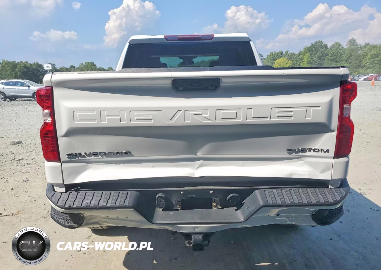 2022 Chevrolet Silverado K1500 Custom VIN:1GCPDBEK2NZ507056 - 6