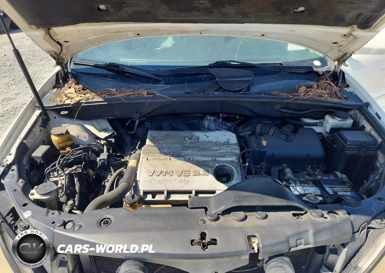 2004 Lexus Rx 330 VIN:2T2GA31U74C016914 - 12