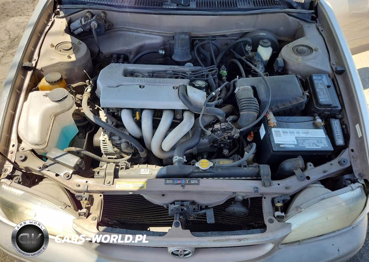 1999 Toyota Corolla Ve VIN:1NXBR12E5XZ155283 - 11