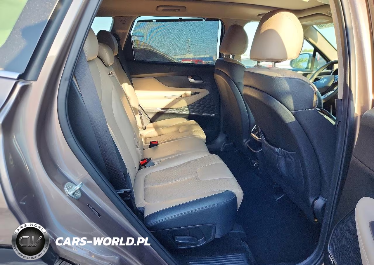 2020 Hyundai Santa Fe Limited VIN:5NMS53AD0LH199617 - 10